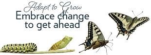 embrace change